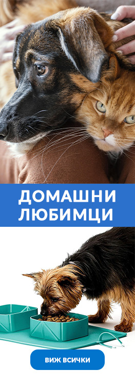 Домашни любимци